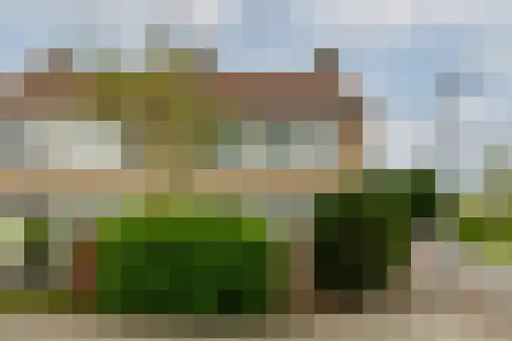 Sterremos 1 Rotterdam thumbnail 44