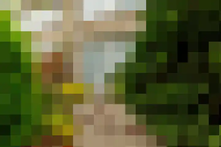 Sterremos 1 Rotterdam thumbnail 5