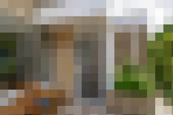 Sterremos 10 Bergschenhoek thumbnail 10