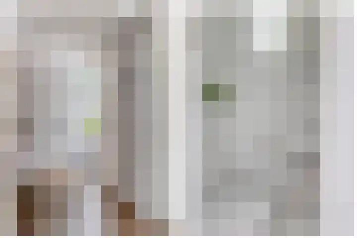 Sterremos 10 Bergschenhoek thumbnail 11