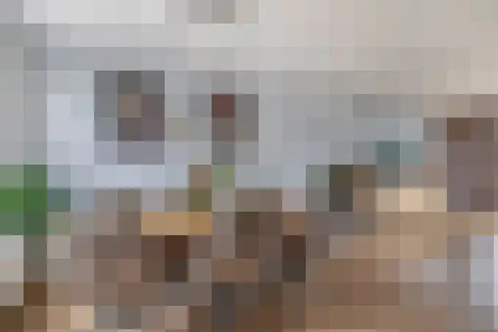 Sterremos 10 Bergschenhoek thumbnail 13