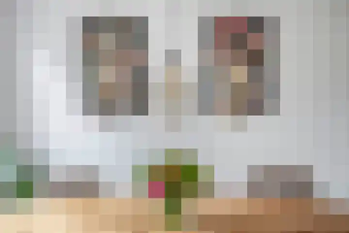 Sterremos 10 Bergschenhoek thumbnail 14