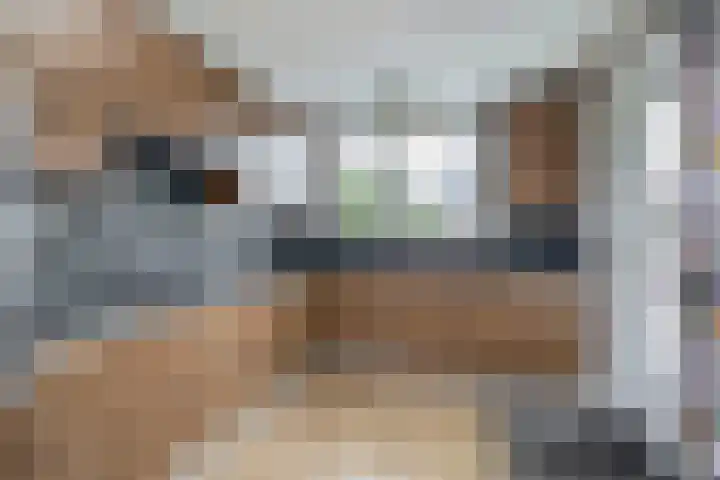 Sterremos 10 Bergschenhoek thumbnail 18