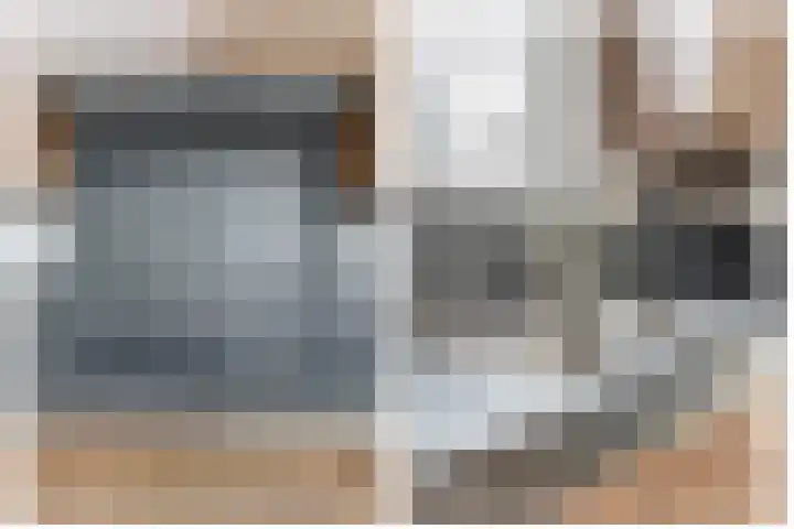 Sterremos 10 Bergschenhoek thumbnail 19