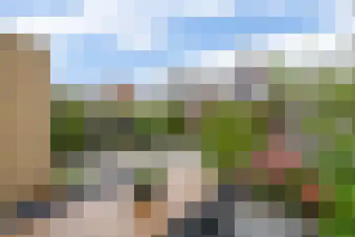Sterremos 10 Bergschenhoek thumbnail 20