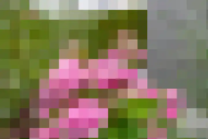 Sterremos 10 Bergschenhoek thumbnail 21