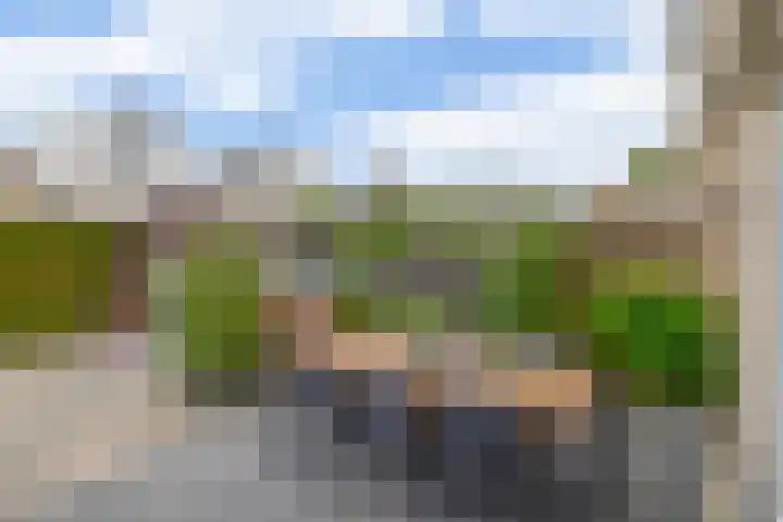 Sterremos 10 Bergschenhoek thumbnail 22