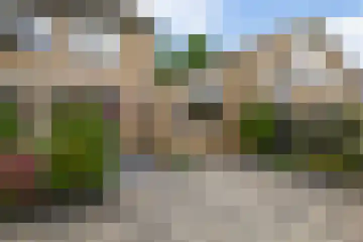 Sterremos 10 Bergschenhoek thumbnail 23