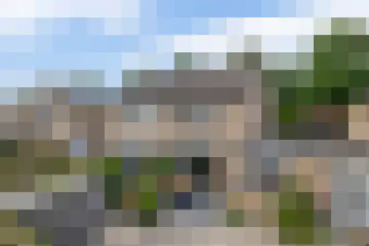 Sterremos 10 Bergschenhoek thumbnail 25