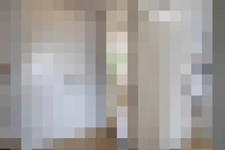 Sterremos 10 Bergschenhoek thumbnail 28