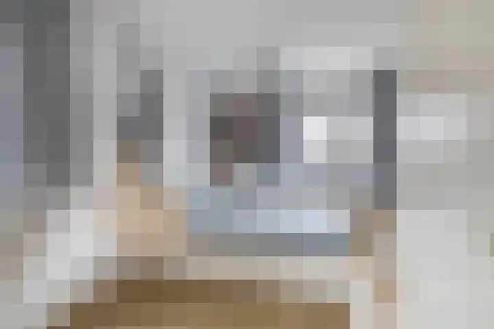 Sterremos 10 Bergschenhoek thumbnail 29