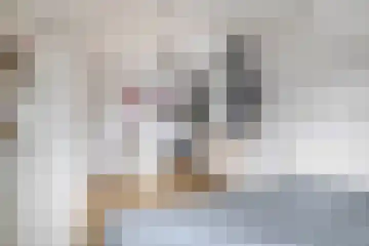 Sterremos 10 Bergschenhoek thumbnail 30