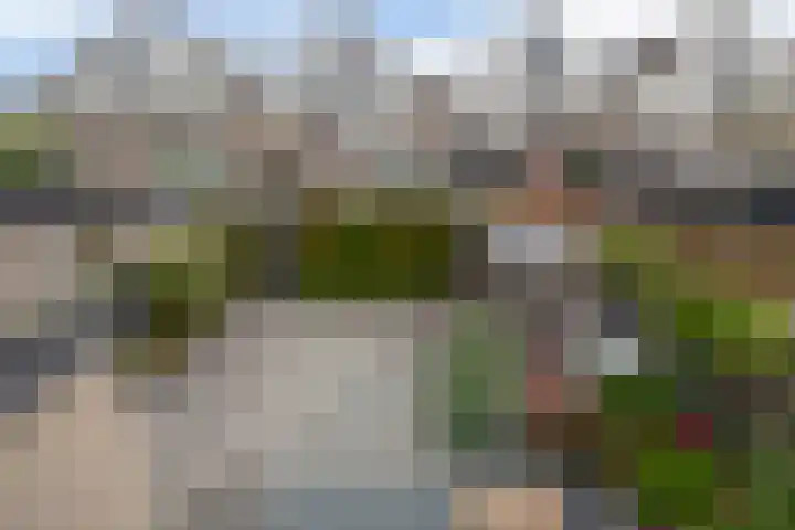 Sterremos 10 Bergschenhoek thumbnail 31
