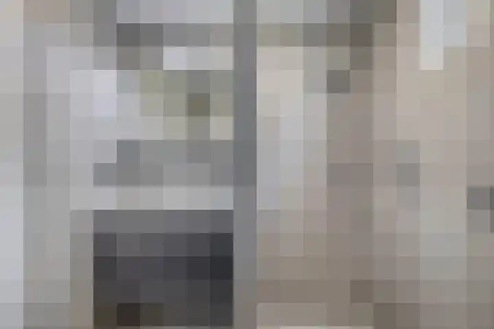 Sterremos 10 Bergschenhoek thumbnail 32