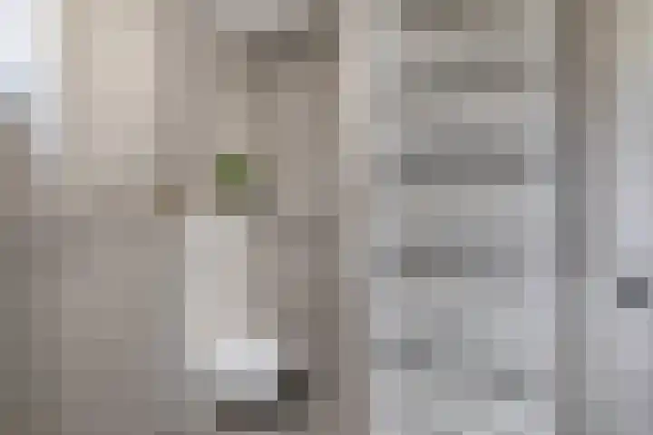 Sterremos 10 Bergschenhoek thumbnail 34