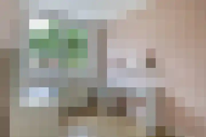 Sterremos 10 Bergschenhoek thumbnail 35