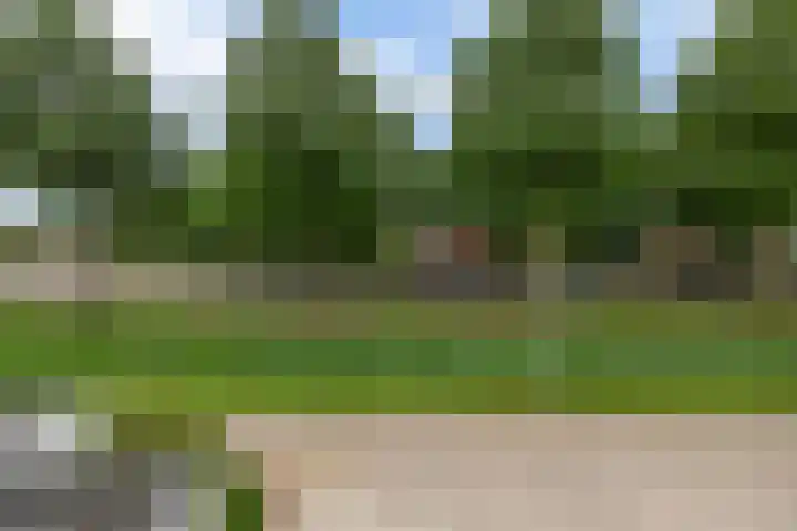 Sterremos 10 Bergschenhoek thumbnail 38