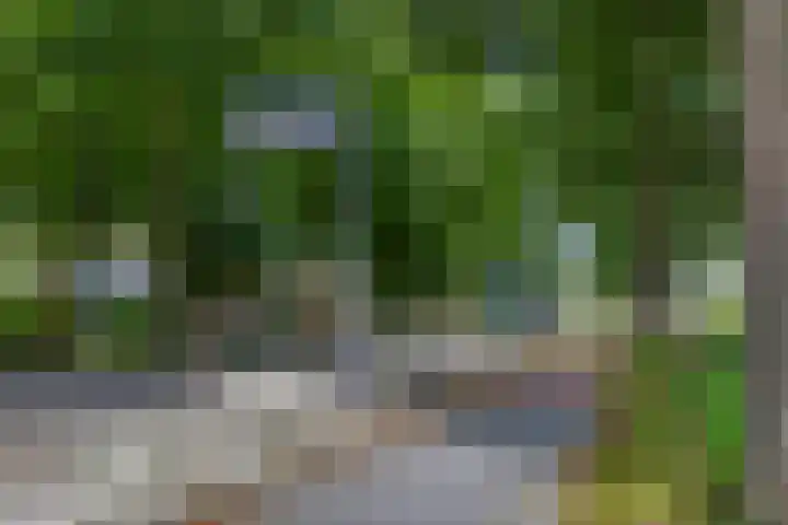 Sterremos 10 Bergschenhoek thumbnail 39
