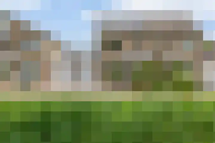 Sterremos 10 Bergschenhoek thumbnail 4