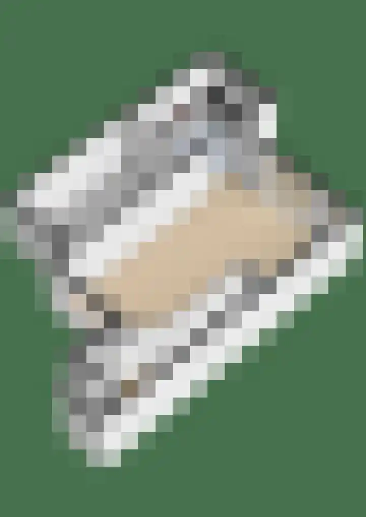 Sterremos 10 Bergschenhoek thumbnail 41