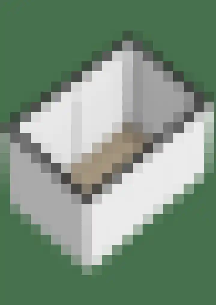 Sterremos 10 Bergschenhoek thumbnail 43