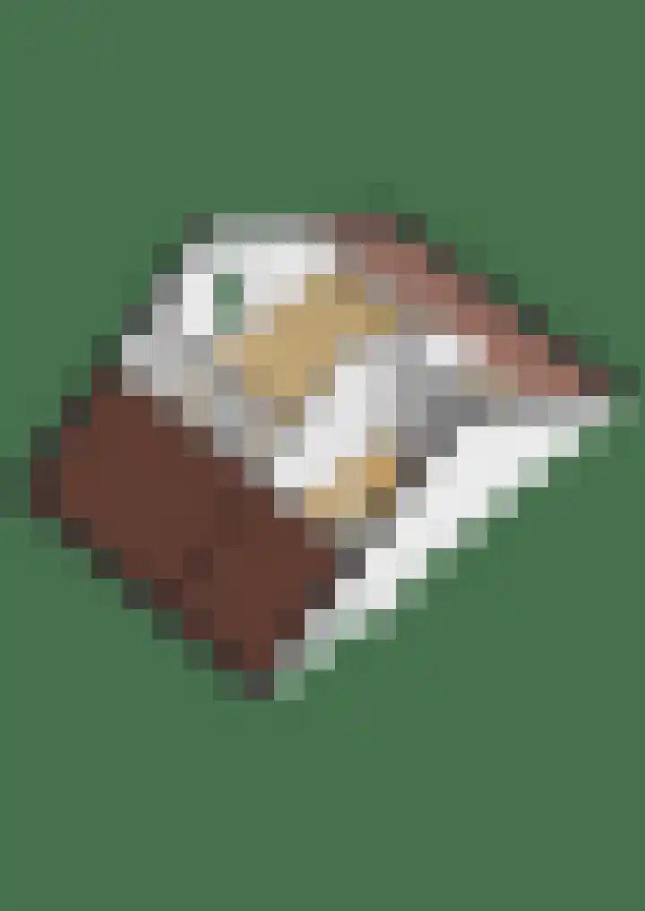 Sterremos 10 Bergschenhoek thumbnail 49