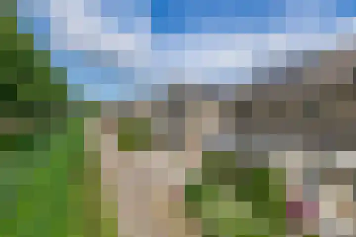 Sterremos 10 Bergschenhoek thumbnail 5