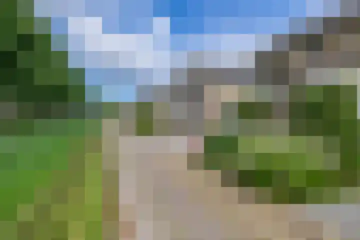 Sterremos 10 Bergschenhoek thumbnail 6