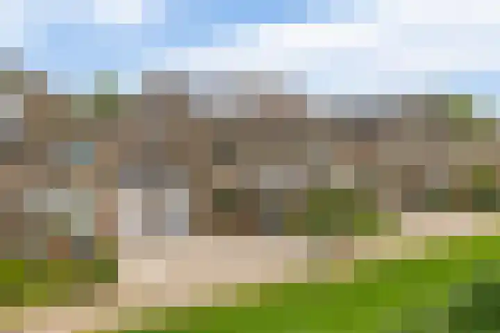 Sterremos 10 Bergschenhoek thumbnail 7