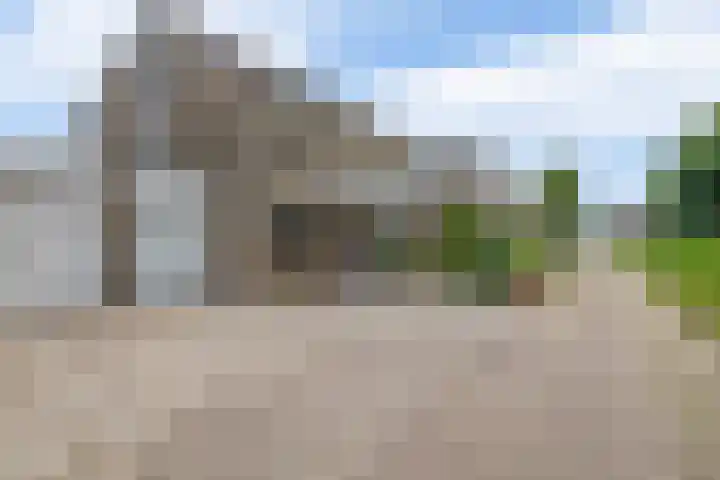 Sterremos 10 Bergschenhoek thumbnail 8