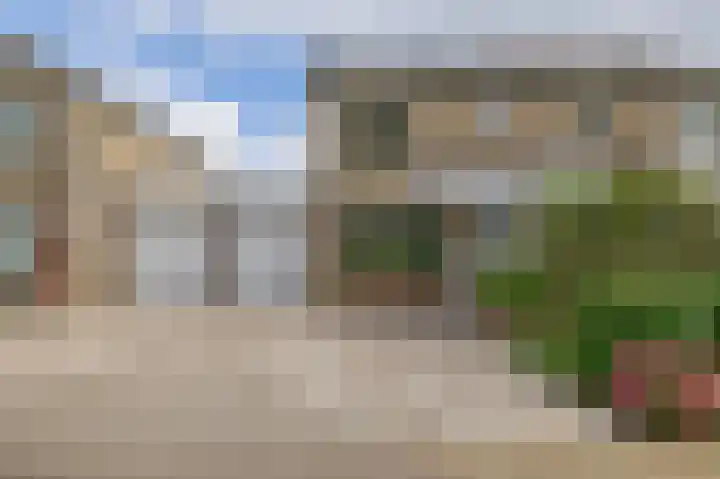 Sterremos 10 Bergschenhoek thumbnail 9