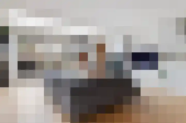Sterremos 11 Reeuwijk thumbnail 10