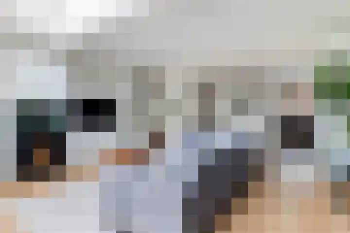 Sterremos 11 Reeuwijk thumbnail 12