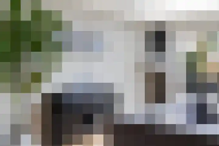 Sterremos 11 Reeuwijk thumbnail 13