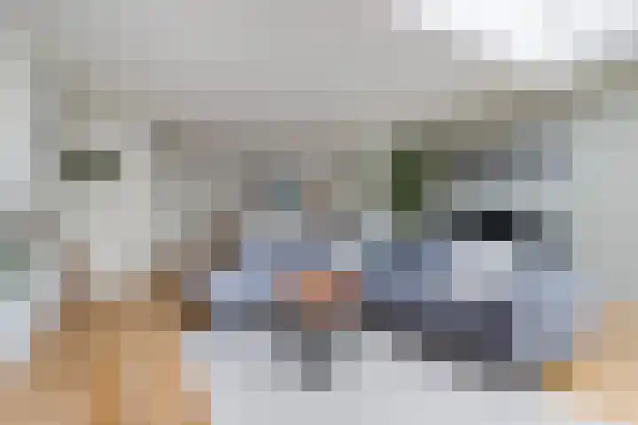 Sterremos 11 Reeuwijk thumbnail 14
