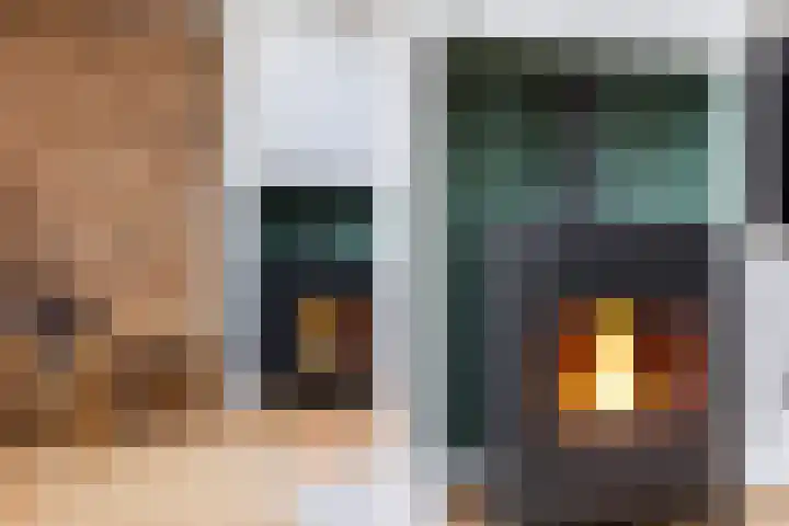 Sterremos 11 Reeuwijk thumbnail 15