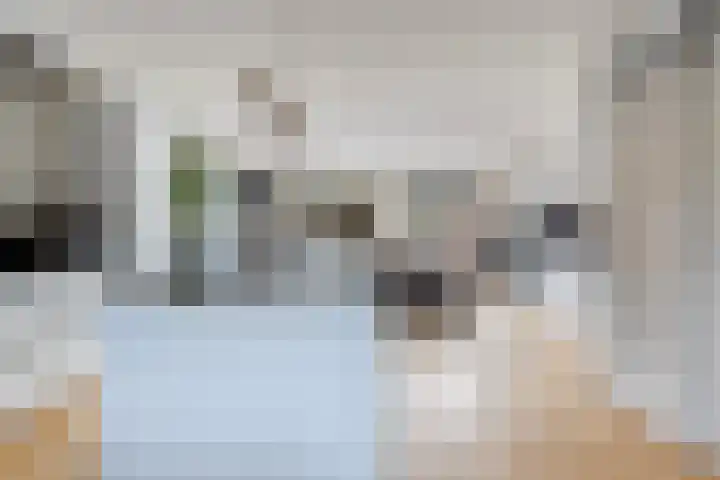 Sterremos 11 Reeuwijk thumbnail 19