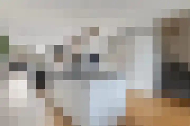 Sterremos 11 Reeuwijk thumbnail 20