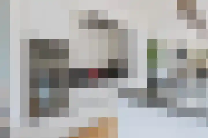 Sterremos 11 Reeuwijk thumbnail 23