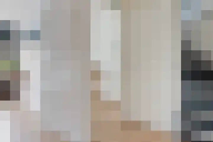 Sterremos 11 Reeuwijk thumbnail 25