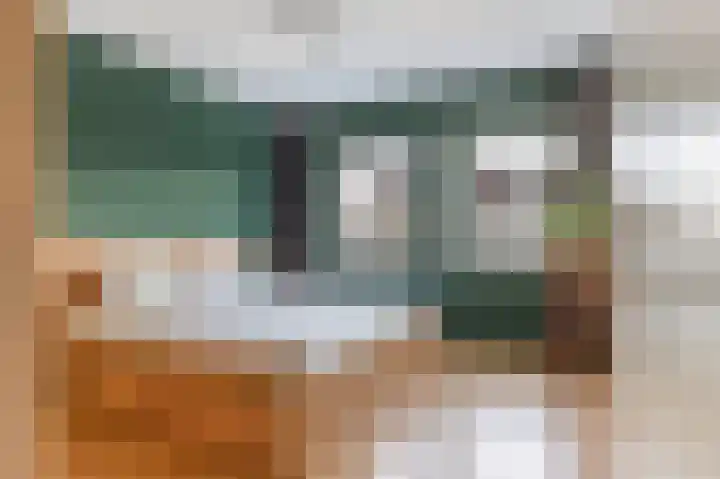 Sterremos 11 Reeuwijk thumbnail 28