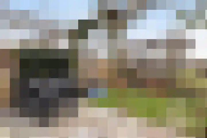 Sterremos 11 Reeuwijk thumbnail 36