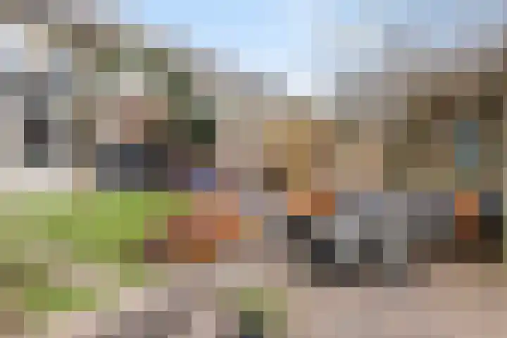 Sterremos 11 Reeuwijk thumbnail 39