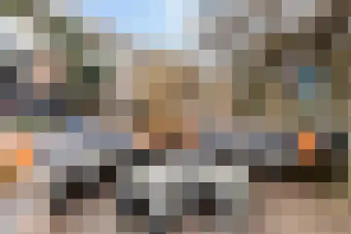Sterremos 11 Reeuwijk thumbnail 40