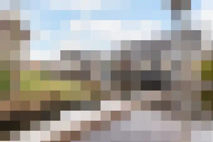 Sterremos 11 Reeuwijk thumbnail 41