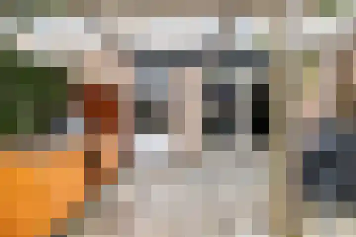 Sterremos 11 Reeuwijk thumbnail 44
