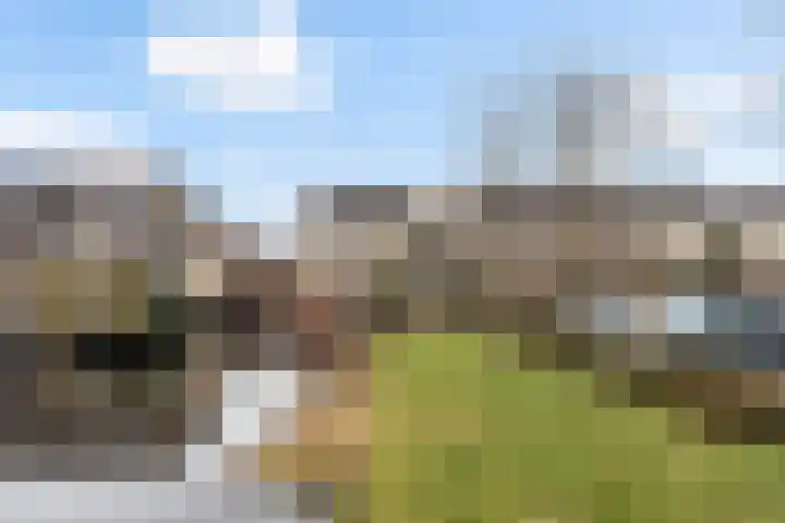 Sterremos 11 Reeuwijk thumbnail 45