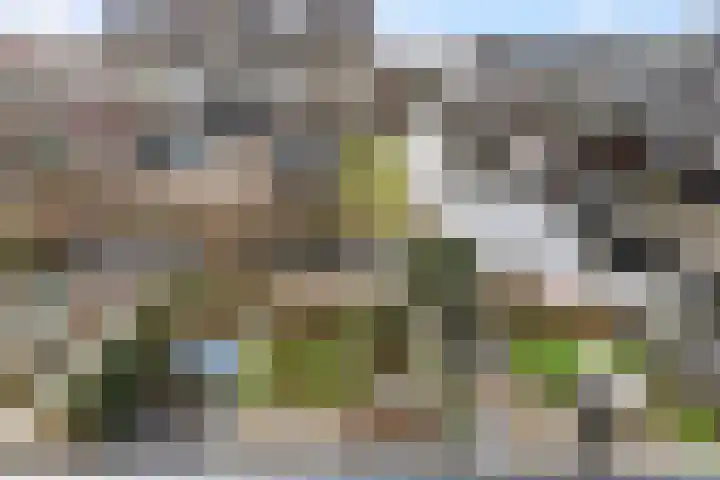 Sterremos 11 Reeuwijk thumbnail 46