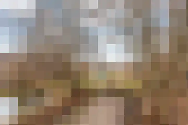 Sterremos 11 Reeuwijk thumbnail 48