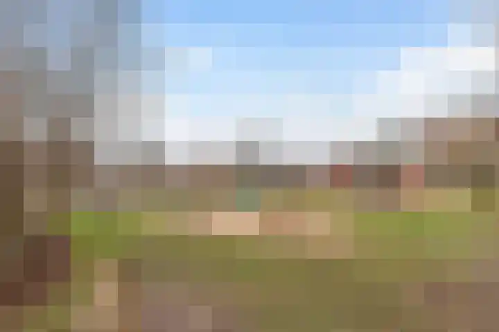 Sterremos 11 Reeuwijk thumbnail 49